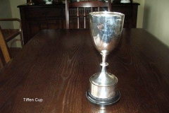 Tiffen-Cup